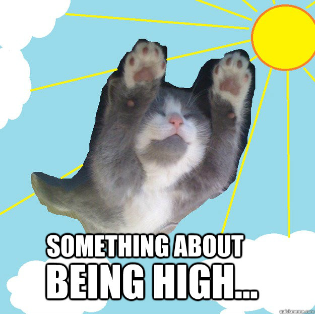Something about Being high...  - Something about Being high...   Whoosh cat