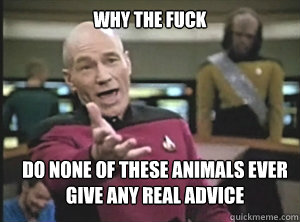 why the fuck do none of these animals ever 
give any real advice  Annoyed Picard