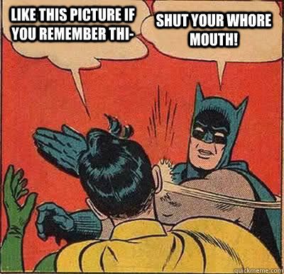 Like this picture if you remember thi- Shut your whore mouth!  Batman Slapping Robin