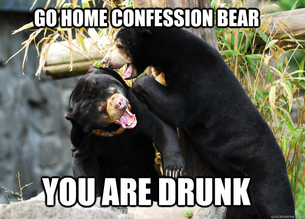 Go Home Confession Bear YOU ARE DRUNK  