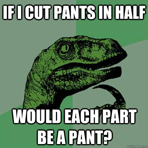 if i cut pants in half would each part be a pant?  Philosoraptor