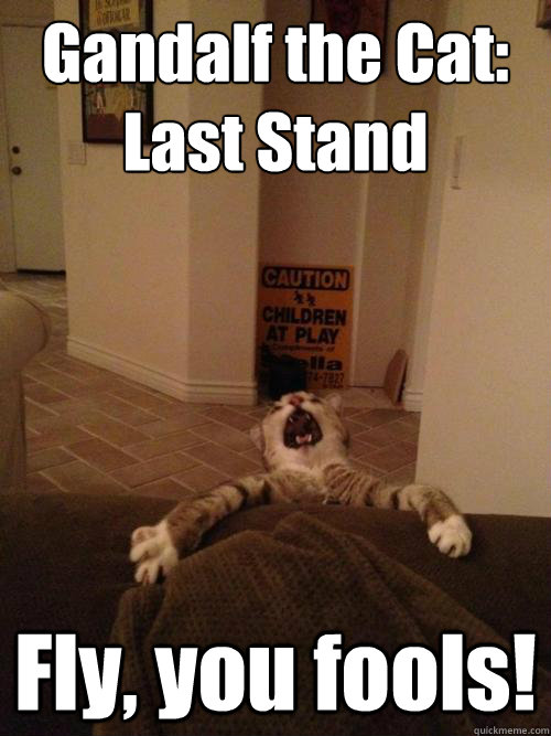 Gandalf the Cat: 
Last Stand Fly, you fools! - Gandalf the Cat: 
Last Stand Fly, you fools!  Gandalf the Cat