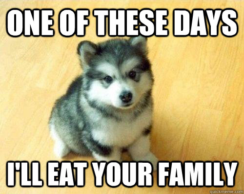 One of these days I'll eat your family - One of these days I'll eat your family  Baby Courage Wolf
