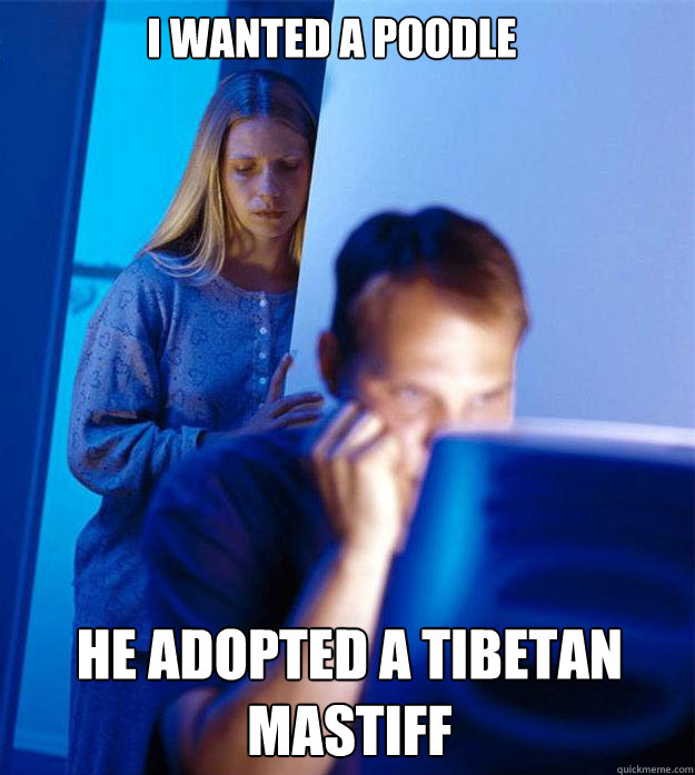 I wanted a poodle He adopted a Tibetan mastiff  Redditors Wife