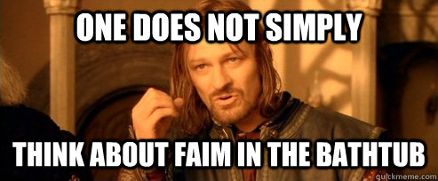 One does not simply think about FAIM in the bathtub  One Does Not Simply