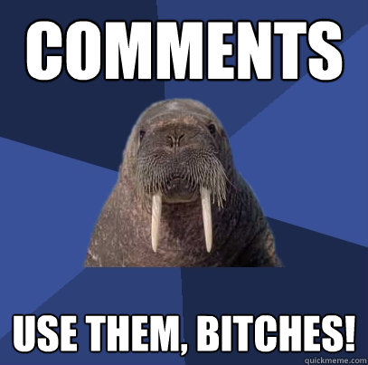 Comments Use them, Bitches!  Web Developer Walrus