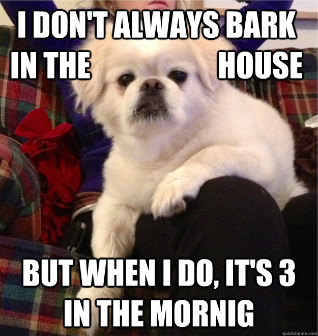 I don't always bark in the                      house but when I do, it's 3 in the mornig - I don't always bark in the                      house but when I do, it's 3 in the mornig  themostinterestingpupintheworld