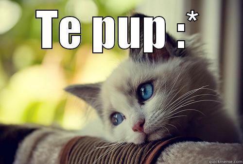 TE PUP :*  First World Problems Cat
