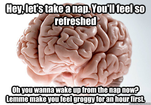 Hey, let's take a nap. You'll feel so refreshed Oh you wanna wake up from the nap now? Lemme make you feel groggy for an hour first.  Scumbag Brain