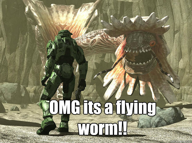 OMG its a flying worm!!  