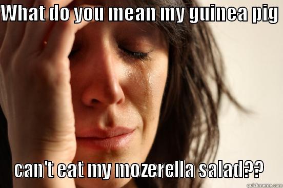 mozerella salad - WHAT DO YOU MEAN MY GUINEA PIG  CAN'T EAT MY MOZZARELLA SALAD?? First World Problems