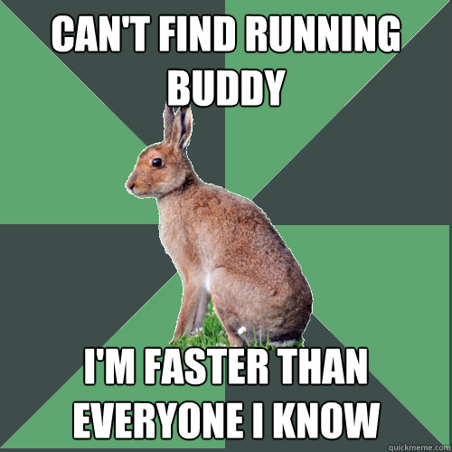 Can't find running buddy I'm faster than everyone I know - Can't find running buddy I'm faster than everyone I know  Harrier Hare