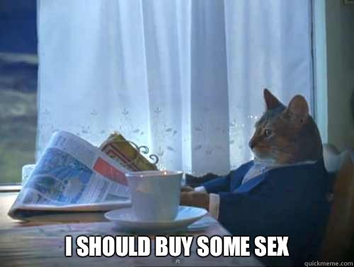  I SHOULD BUY SOME SEX  The One Percent Cat