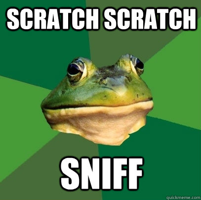 Scratch scratch sniff  Foul Bachelor Frog