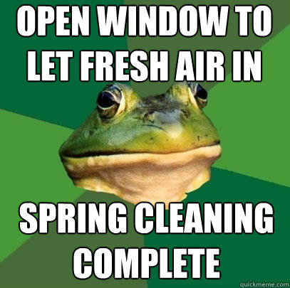 open window to let fresh air in spring cleaning complete - open window to let fresh air in spring cleaning complete  Foul Bachelor Frog