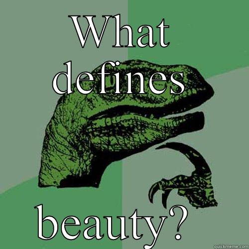 WHAT DEFINES BEAUTY?  Philosoraptor