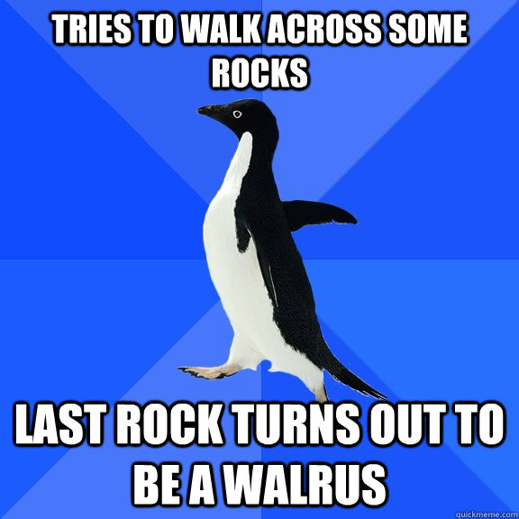 Tries to walk across some rocks Last rock turns out to be a walrus  Socially Awkward Penguin