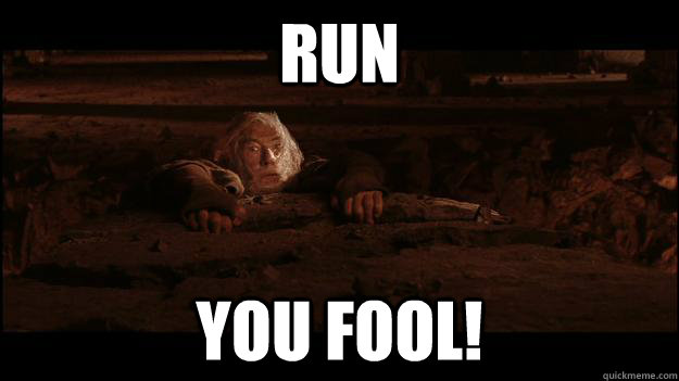 RUN YOU FOOL!  Gandalf