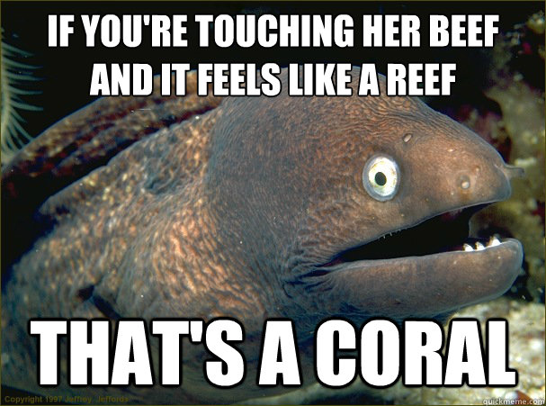 If you're touching her beef
and it feels like a reef that's a coral - If you're touching her beef
and it feels like a reef that's a coral  Bad Joke Eel