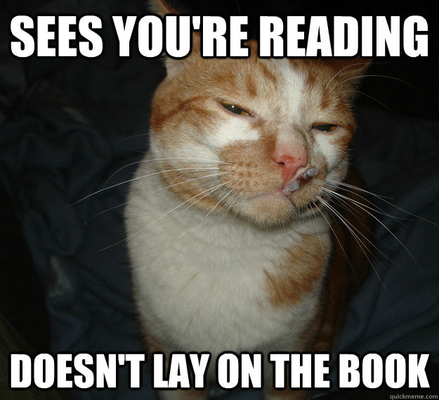 Sees you're reading Doesn't lay on the book  Cool Cat Craig