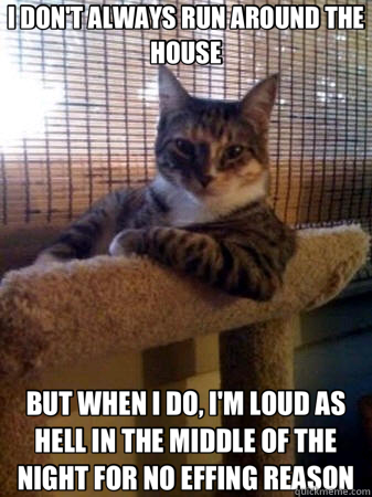 I DON'T ALWAYS RUN AROUND THE HOUSE BUT WHEN I DO, I'M LOUD AS HELL IN THE MIDDLE OF THE NIGHT FOR NO EFFING REASON  The Most Interesting Cat in the World