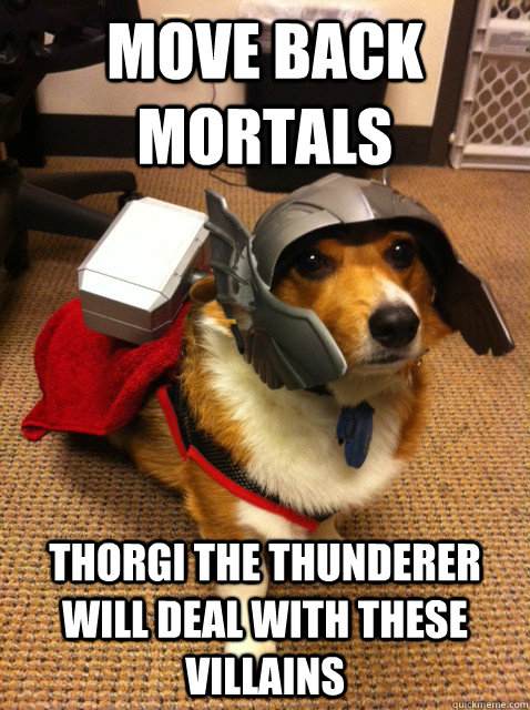 move back mortals Thorgi the Thunderer will deal with these villains  Thorgi Dog of Thunder
