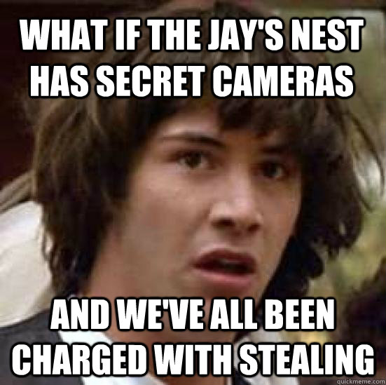 what if the jay's nest has secret cameras  and we've all been charged with stealing   conspiracy keanu