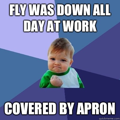 Fly was down all day at work Covered by apron  Success Kid