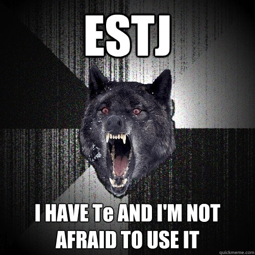 ESTJ I HAVE Te AND I'M NOT AFRAID TO USE IT  Insanity Wolf