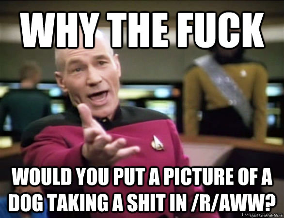 Why the fuck would you put a picture of a dog taking a shit in /r/aww?  Annoyed Picard HD