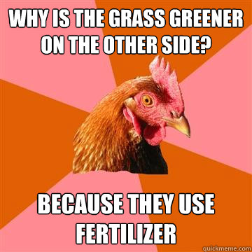 Why is the grass greener on the other side? Because they use fertilizer  Anti-Joke Chicken