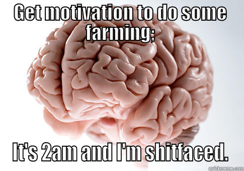 GET MOTIVATION TO DO SOME FARMING; IT'S 2AM AND I'M SHITFACED. Scumbag Brain