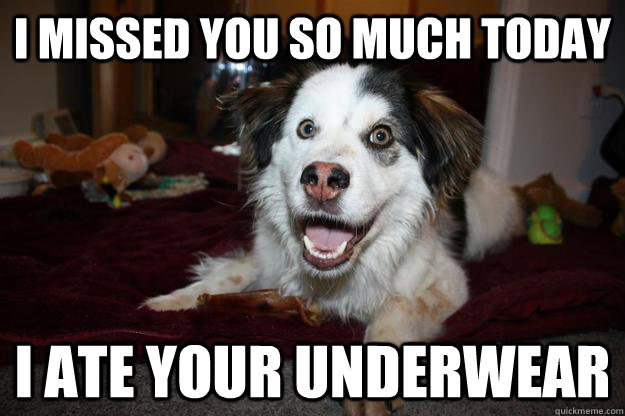 I missed you so much today I ate your underwear  