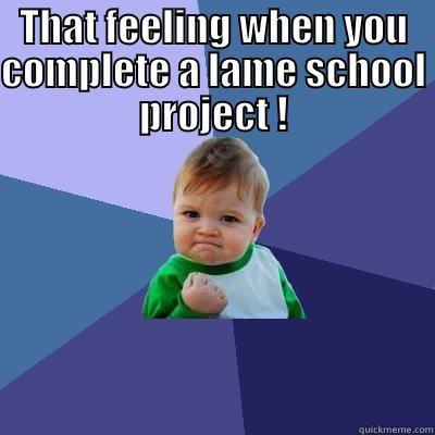Haha LOL! - THAT FEELING WHEN YOU COMPLETE A LAME SCHOOL PROJECT !  Success Kid