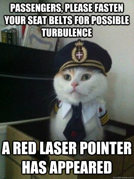 Passengers, please fasten your seat belts for possible turbulence a red laser pointer has appeared  Captain kitteh