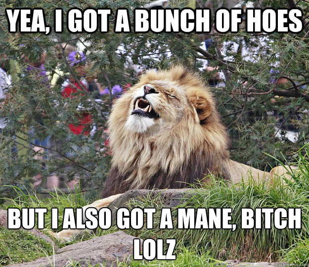 Yea, I got a bunch of hoes but I also got a mane, bitch 
lolz  