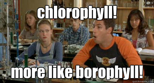 chlorophyll! more like borophyll!  