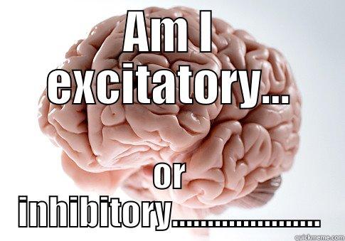 AM I EXCITATORY... OR INHIBITORY..................... Scumbag Brain
