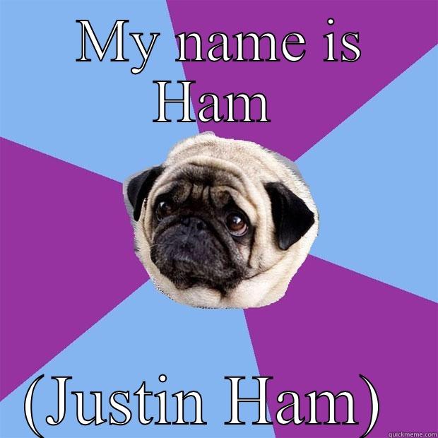Ain't easy for a pug to get it how we live -  MY NAME IS HAM (JUSTIN HAM)  Lonely Pug