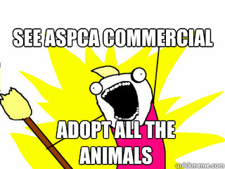 SEE ASPCA COMMERCIAL ADOPT ALL THE ANIMALS - SEE ASPCA COMMERCIAL ADOPT ALL THE ANIMALS  All The Things
