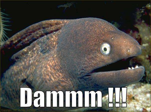 What Did the Fish Say When It Hit the Wall