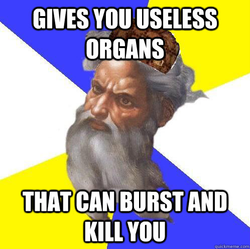 gives you useless organs that can burst and kill you  Scumbag Advice God