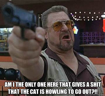  
Am I the only one here that gives a shit that the cat is howling to go out?!!   Pedantic Walter