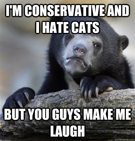 I'm conservative and I hate cats But you guys make me laugh  Confession Bear