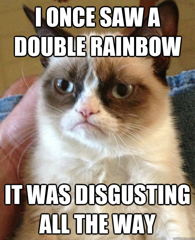 I ONCE SAW A DOUBLE RAINBOW IT WAS DISGUSTING ALL THE WAY  Grumpy Cat