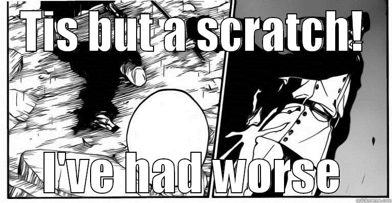 TIS BUT A SCRATCH! I'VE HAD WORSE Misc