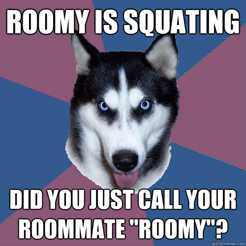 Roomy is squating Did you just call your roommate 