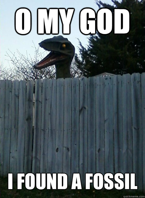 O My God I found a fossil  