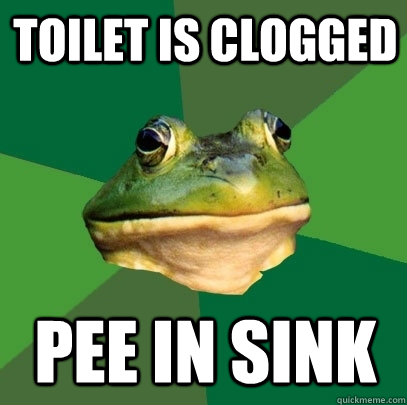 Toilet is clogged pee in sink  Foul Bachelor Frog