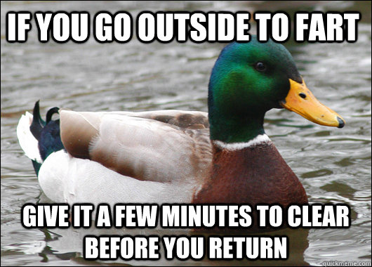 if you go outside to fart give it a few minutes to clear before you return  Actual Advice Mallard